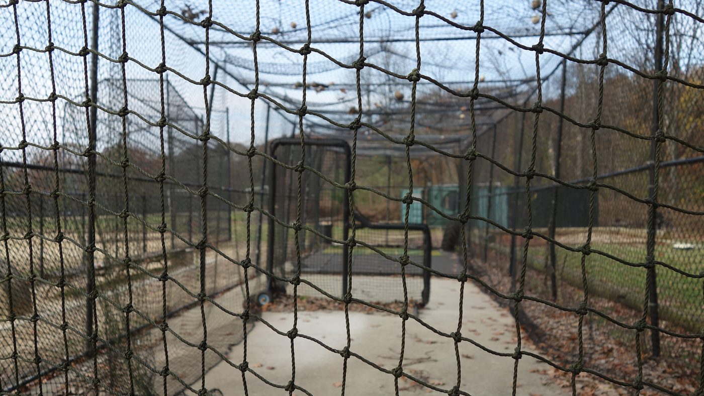 Representative outdoor batting cage (Cunningham Park Ballfields, Queens)