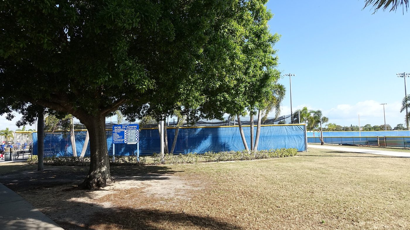 Representative outdoor batting cages (Lawnwood Sports Complex, FL)