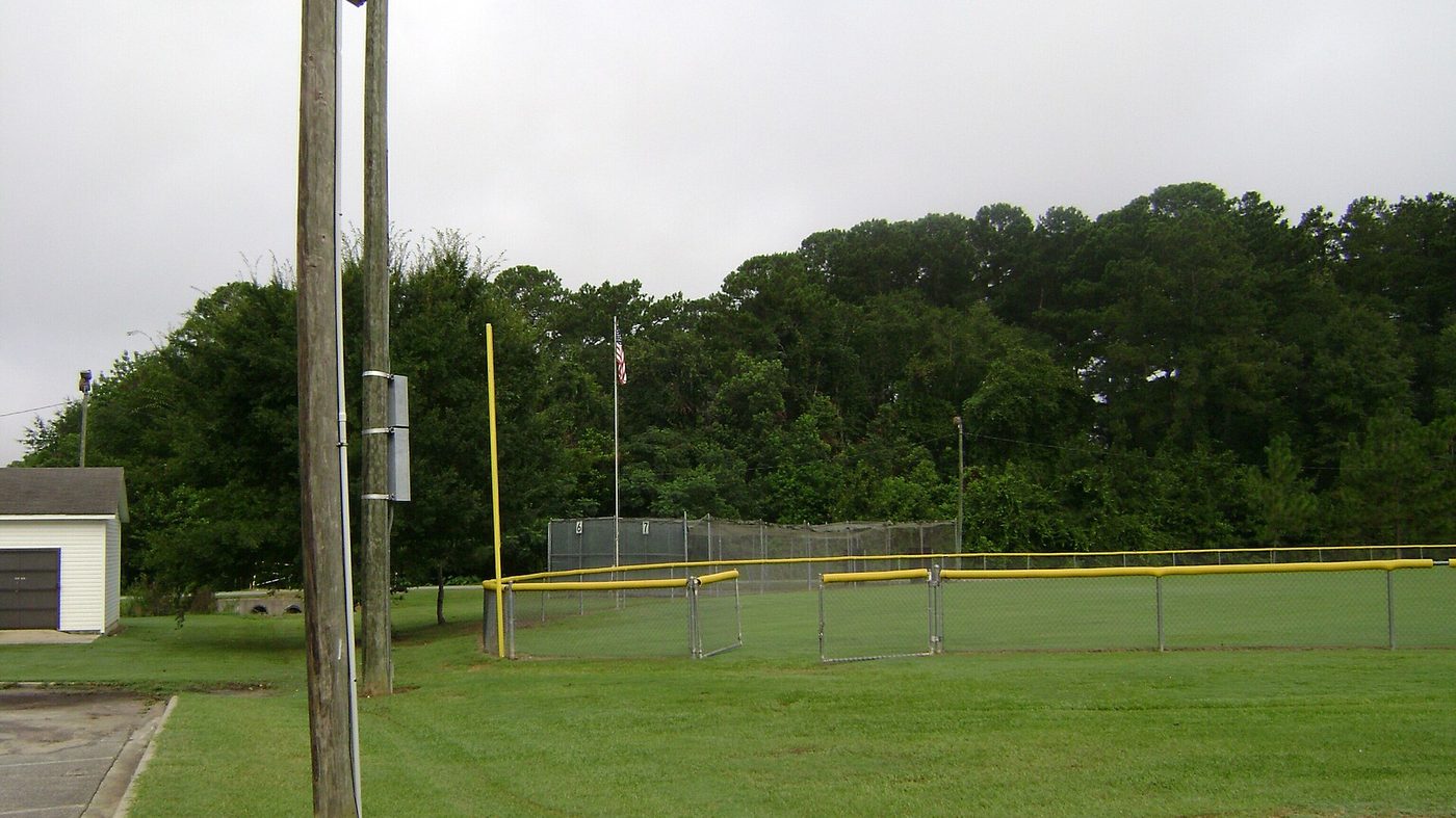 Representative outdoor batting cages (Vallotton Youth Complex)