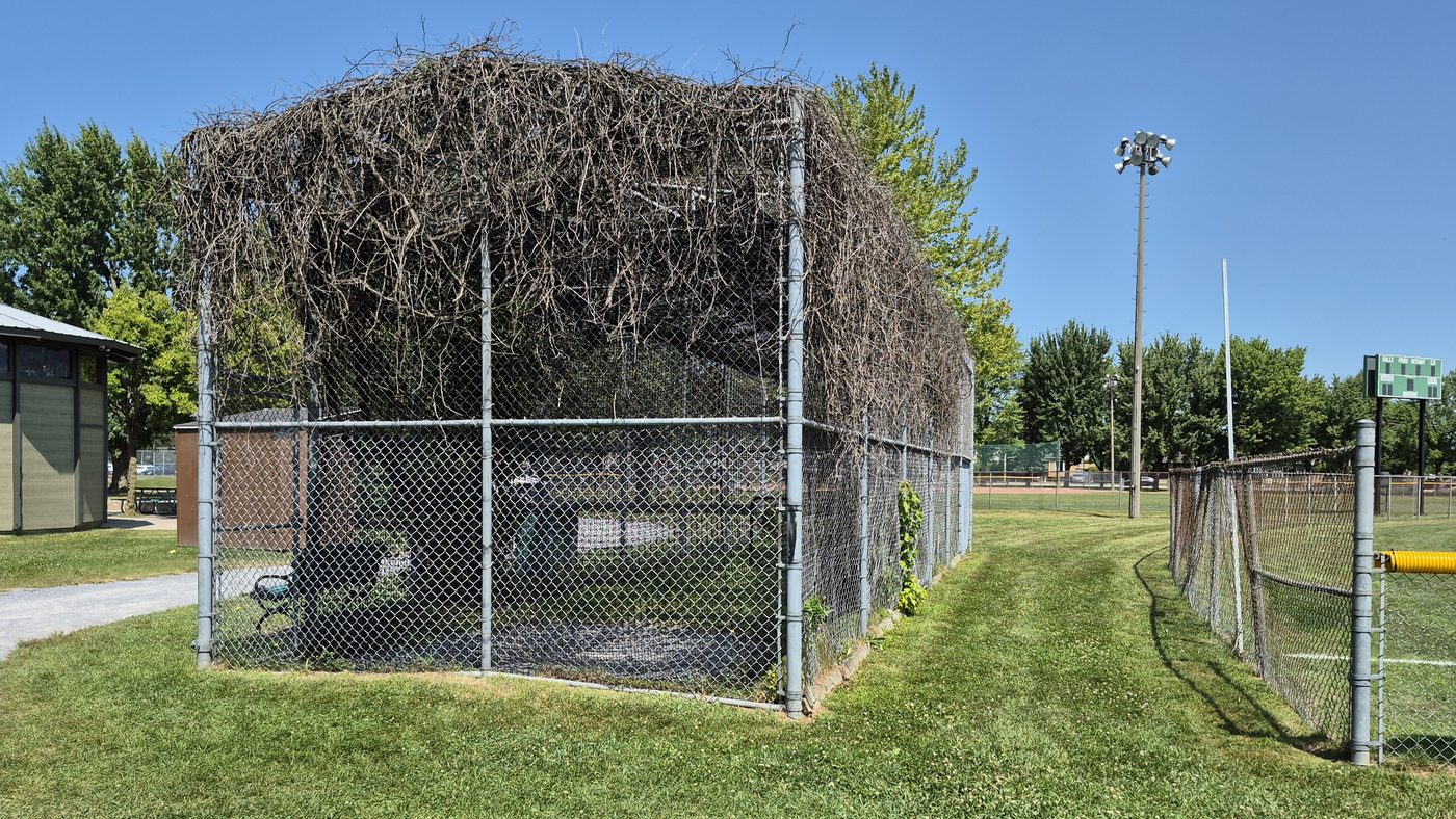 Representative outdoor batting cage (Parc du Ruisseau)